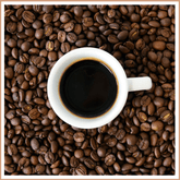 Hazelnut Cappuccino Fragrance Oil - Craftovator